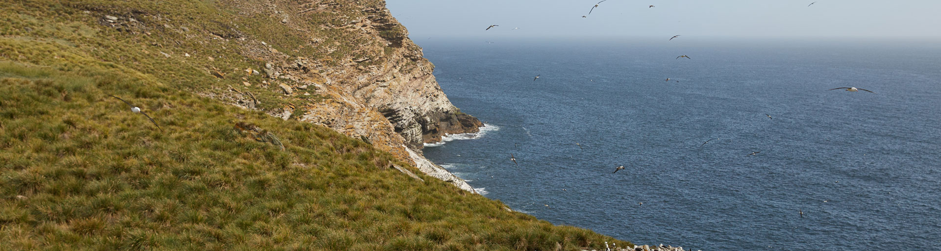 Photo from ASU study abroad of coastline