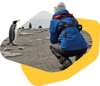 Researcher crouching on rocky shore observing a penguin.
