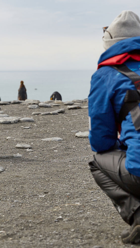 ASU student interacting with a penguin during a study abroad to Antarctica through the Rob Walton College of Global Futures.