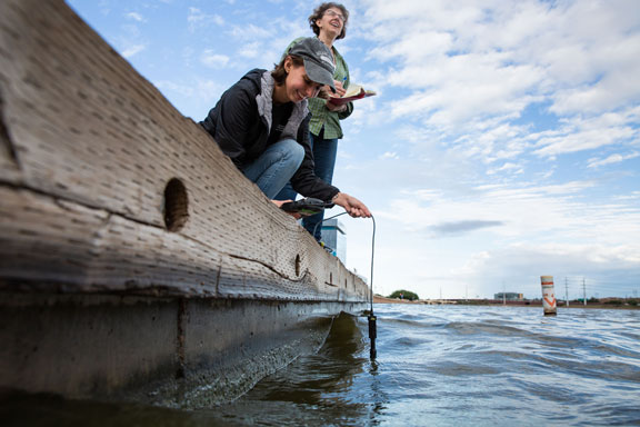 ASU student taking water samples at Tempe Town Lake as part of the Central Arizona–Phoenix Long-Term Ecological Research project