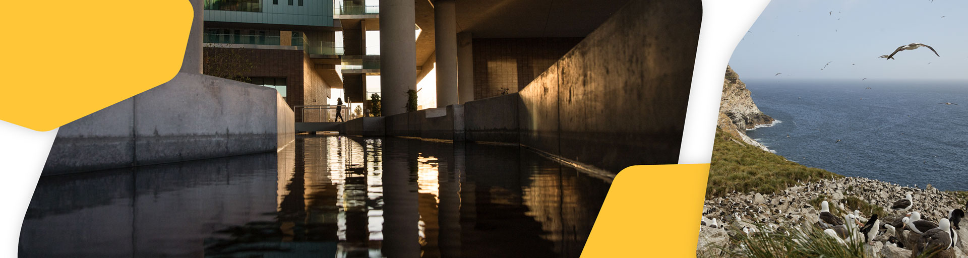 Arizona State University’s Rob and Melani Walton Center for Planetary Health on the Tempe campus
