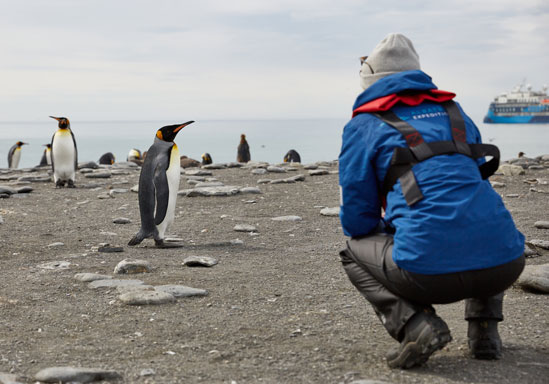 ASU student interacting with a penguin during a study abroad to Antarctica through the Rob Walton College of Global Futures.