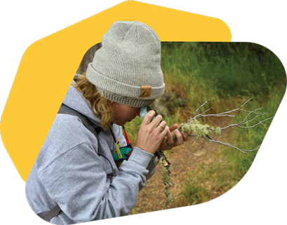 Researcher examining a branch with a magnifier in a forested area.